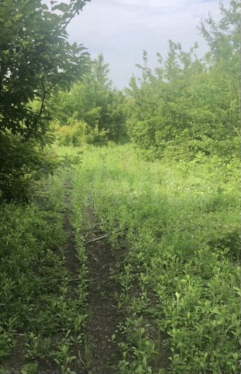 Участок 14,5 га (СНТ, ДНП)