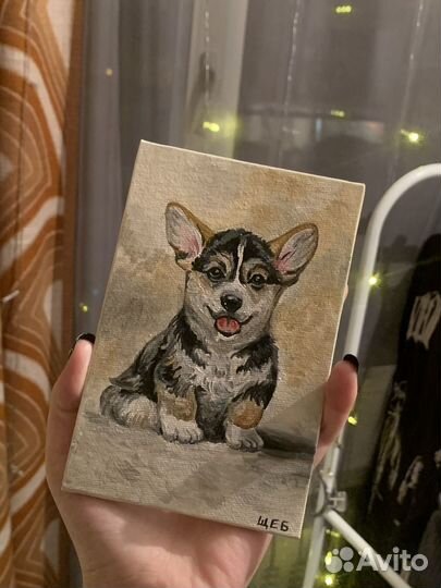 Картина Маленький щенок корги