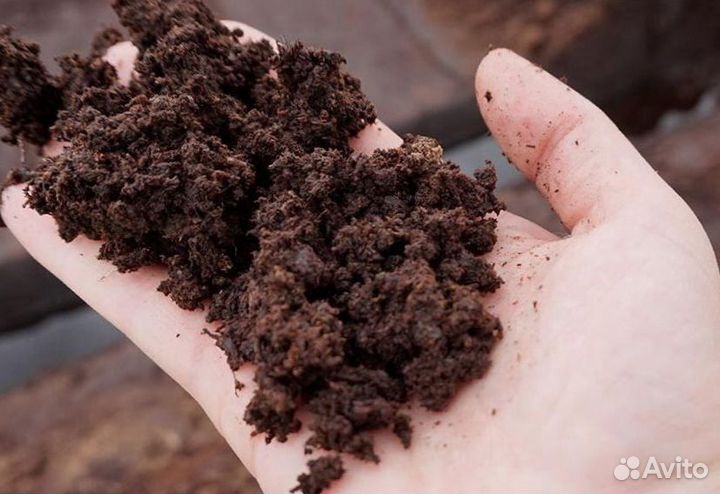 Торфогрунт