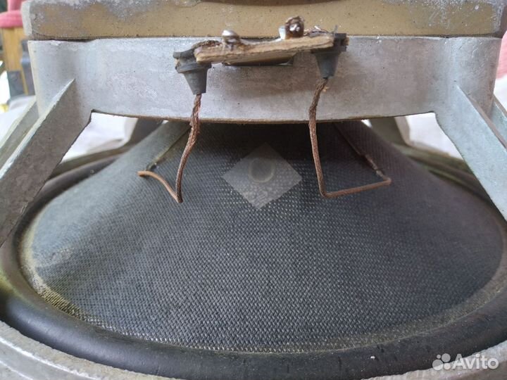 Динамики 75 гдн