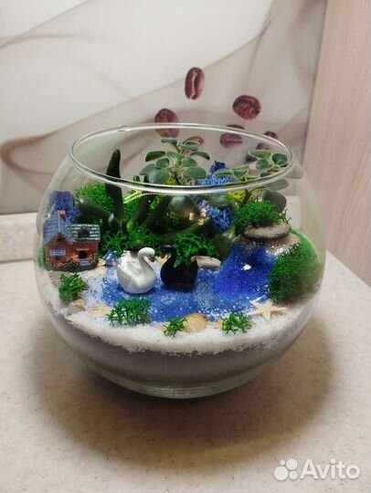 Флорариум на 1 сентября