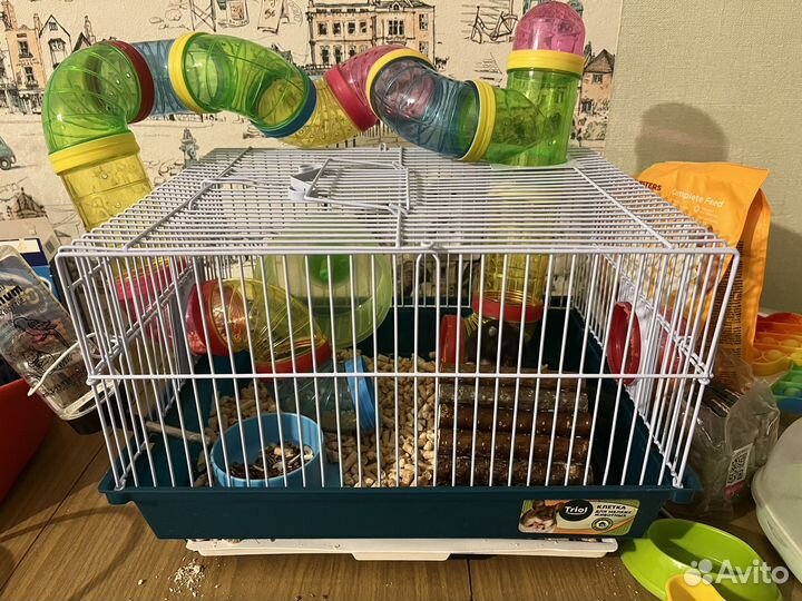 Хомяк с клеткой