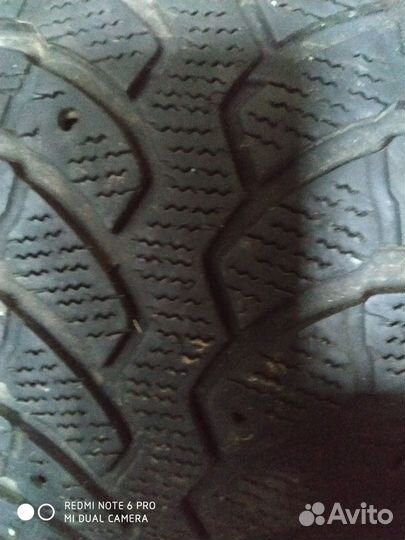 Bridgestone Blizzak DM-V1 205/55 R16