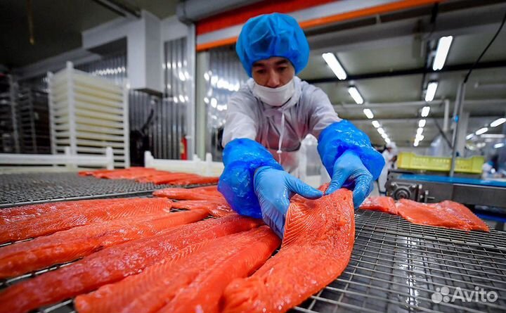 Разнорабочие на рыбзавод без опыта