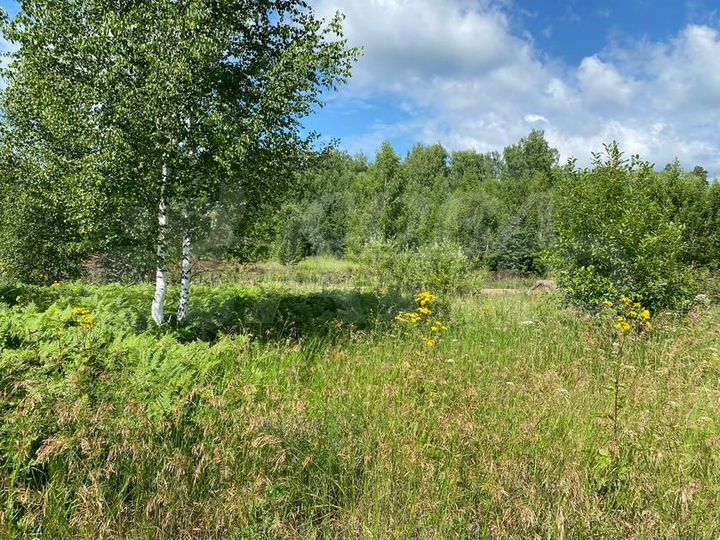 Участок 7 сот. (СНТ, ДНП)