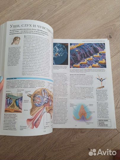 Детская энциклопедия