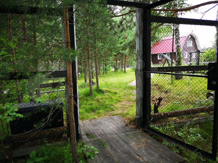 Дом 91,5 м² на участке 13,9 сот.