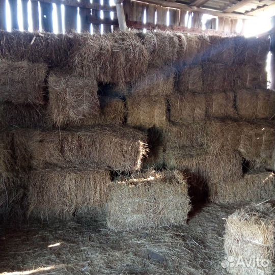 Сено в тюках