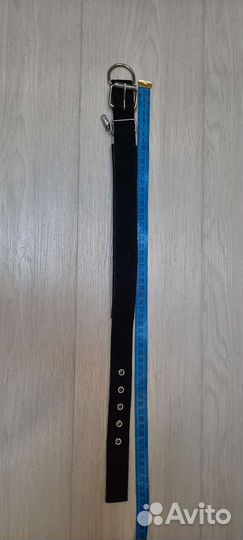 Ошейник для собак