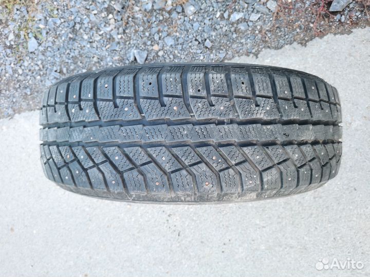 Brasa IceControl 225/65 R17