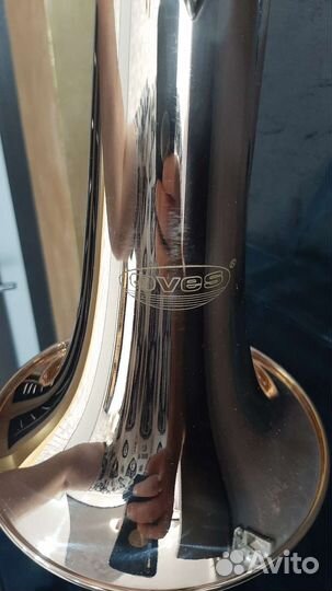 Флюгельгорн