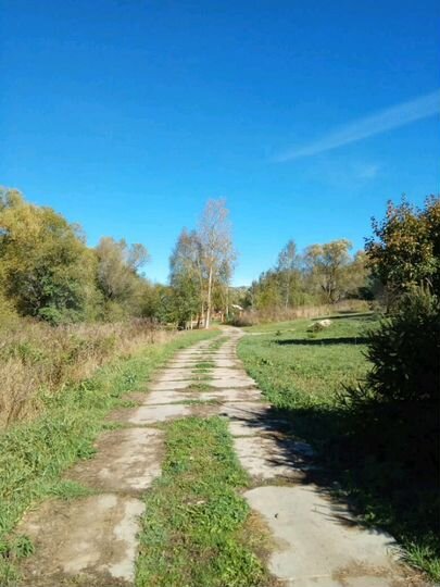 Участок 12 сот. (ИЖС)