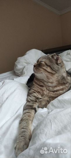 Котик для вязки