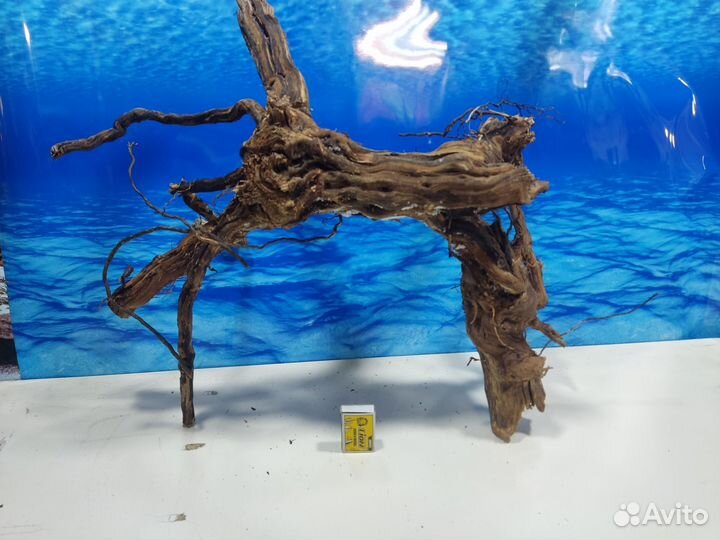 Корень виноградный коряга