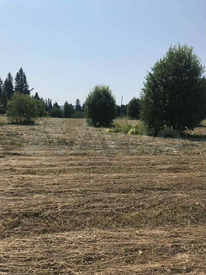 Участок 26 сот. (СНТ, ДНП)