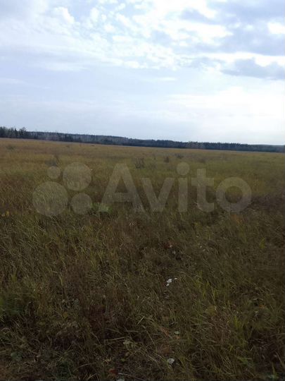 Участок 4090 га (СНТ, ДНП)