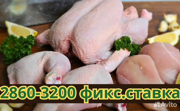 Работа на Производстве Хорошая ставка Упаковщик