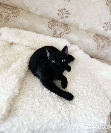 Черная кошка Луна.Реалистичная подвижная игрушка