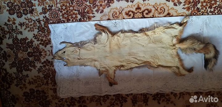 Шкура лисы
