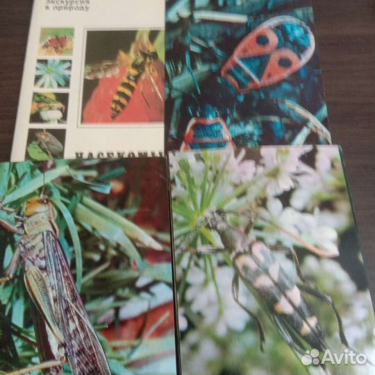 Наборы открыток