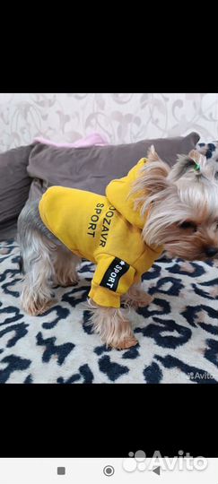 Комбинезон летний, кофта для собак мелких пород