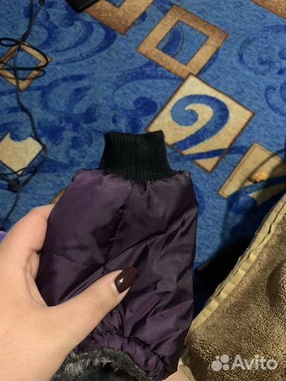 Одежда для собак