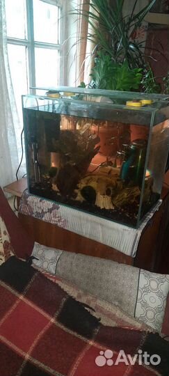 Аквариум
