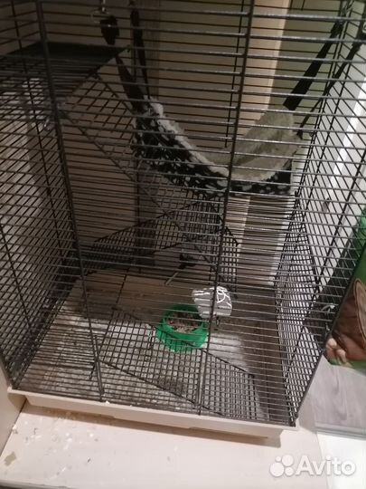 Клетка для крыс