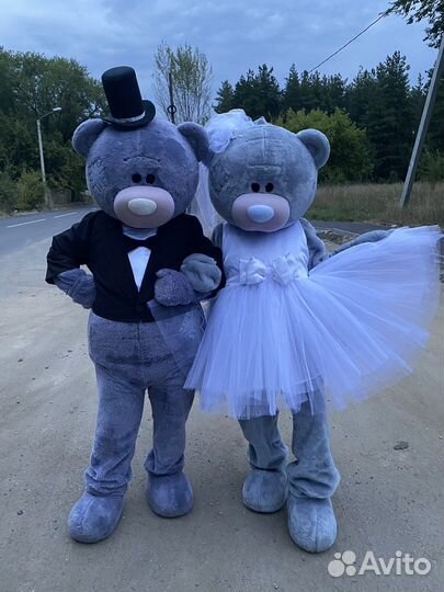 Мишки Тедди и Зайка Лавандочка на любой праздник