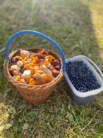 Коттедж 120 м² на участке 20 сот.