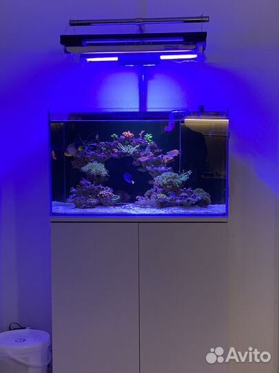 Морской аквариум