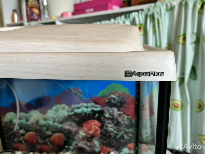 Аквариум