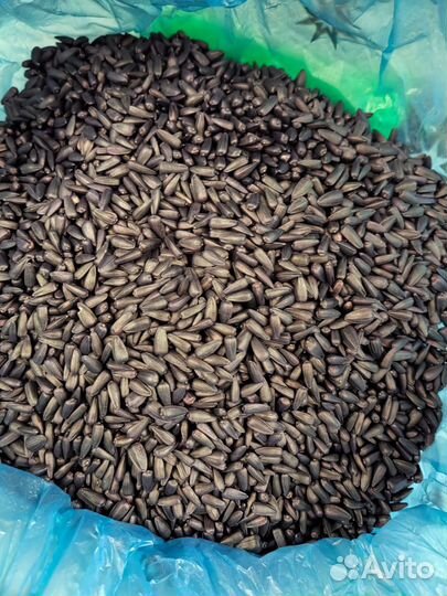 Семена Гибридов Подсолнечника санмарин 410/456/421