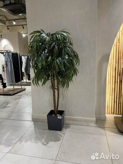 Искусственное дерево, искусственное растение