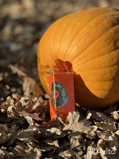 Тыква декоративная большая