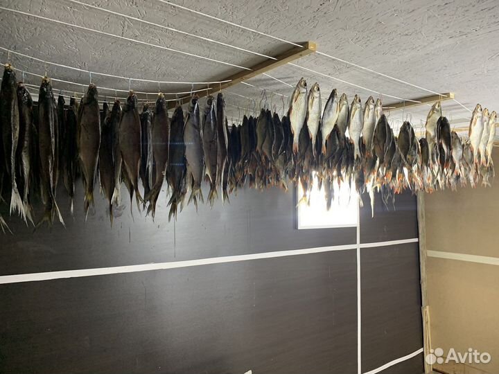 Рыба (свежая, мороженая, вяленая )