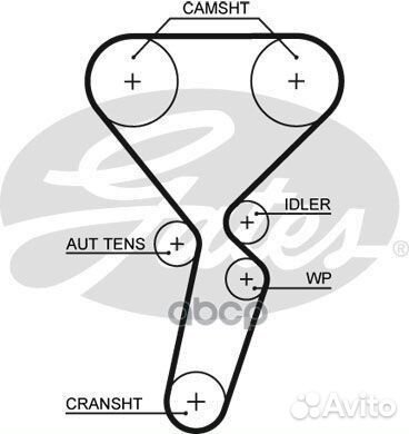 Комплект: водяной насос и ремень зубчатый KP355