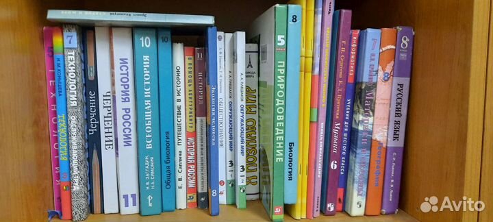 Учебники разные Много