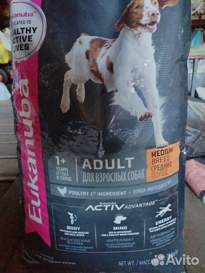 Сухой корм для собак