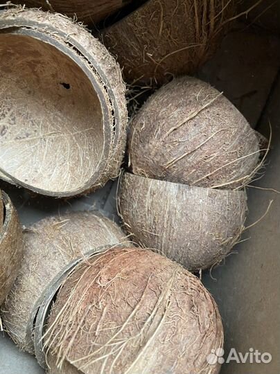 Кокосовая скорлупа (шкатулка)