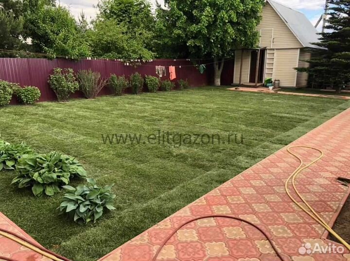 Рулонный газон напрямую от производителя