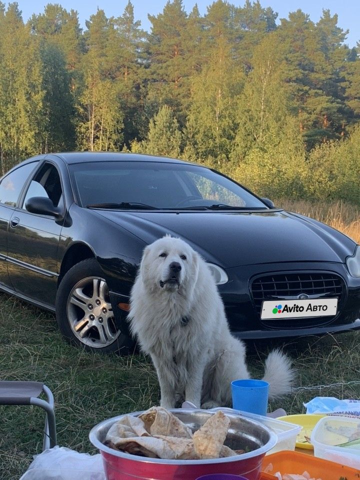 Chrysler Concorde: фото из отзыва