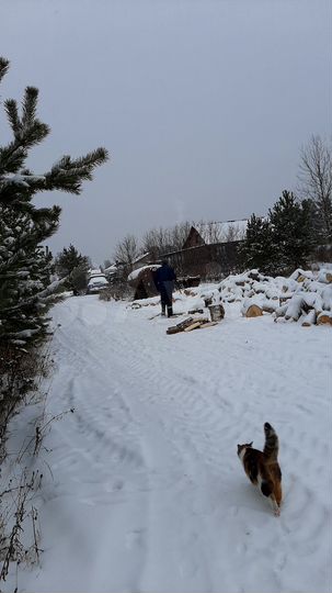 Участок 25 сот. (ИЖС)