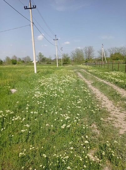 Участок 8 сот. (ИЖС)