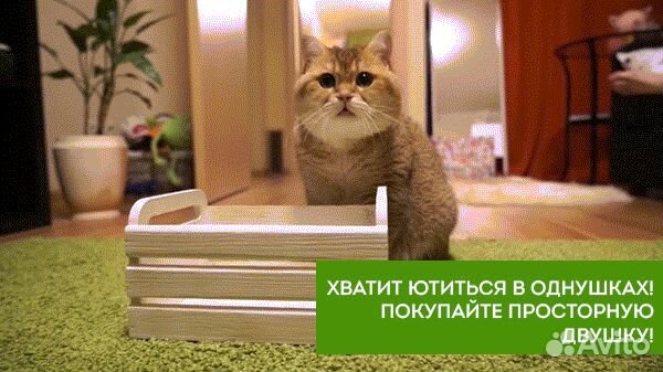 Специалист по недвижимости