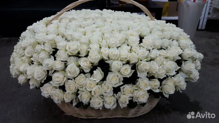 Розы цветы с доставкой