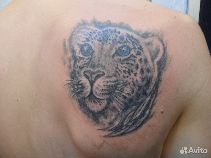 Tattoo студия - avenue