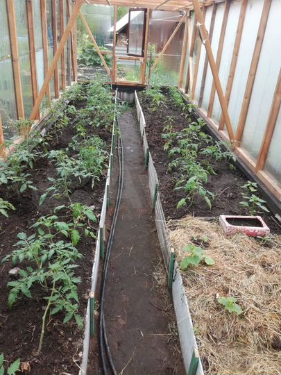 Дом 45 м² на участке 6,5 сот.