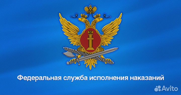 Младший инспектор отдела безопасности