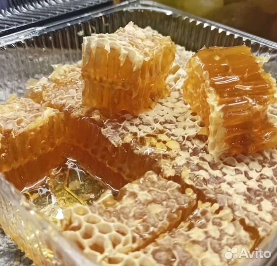 Мёд натуральный 2023 г.Сотовый мëд